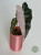 Alokazja (Alocasia) Polly Pink Variegata