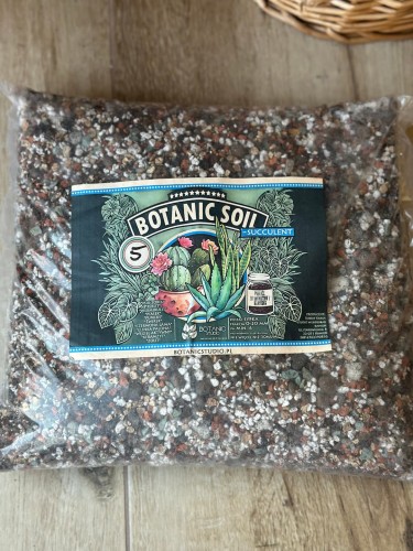 Podłoże do kaktusów i sukulentów Succulent Botanic Soli 5l plantykwariat